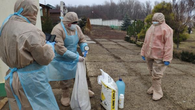В Старобельском районе зарегистрирован случай птичьего гриппа