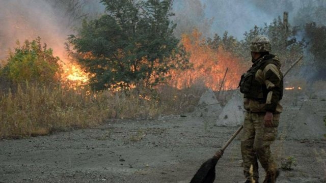 На Луганщине могут запретить прогулки в лес – подготовлено соответствующее распоряжение