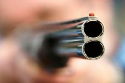 В Стаханове воры позарились на москитные сетки