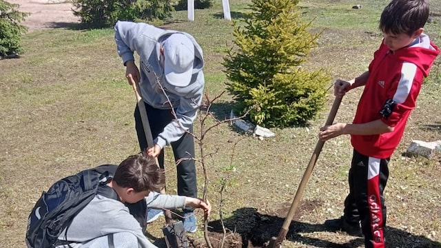 В Лисичанске детей заставили сажать на субботник «с благодарностью лидеру страны»
