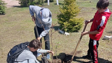 В Лисичанске детей заставили сажать на субботник «с благодарностью лидеру страны»