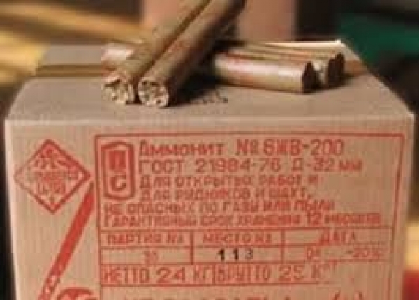 В Лисичанске пиротехники обнаружили 32 тонны взрывчатки