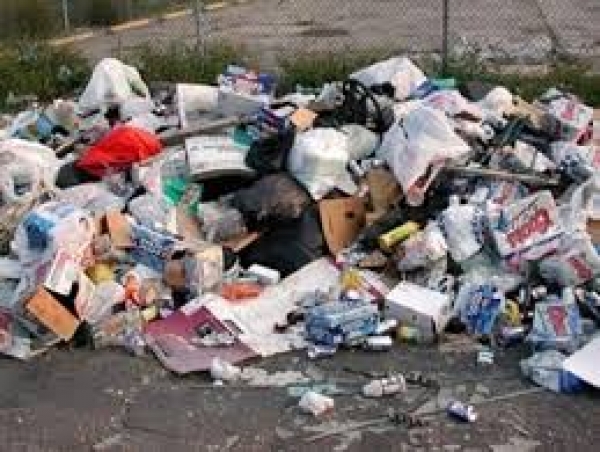 В регионе займутся стихийными свалками