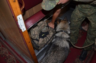 В поездах Луганского направления появятся патрульные с собаками