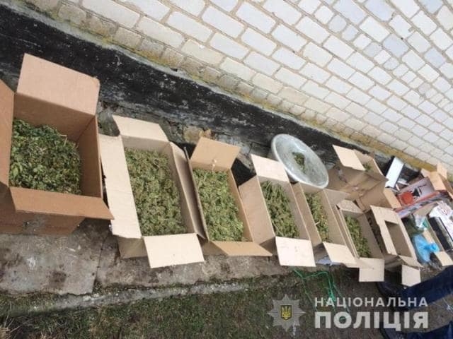На Луганщине закрыт канал поставок наркотиков в ОРЛО