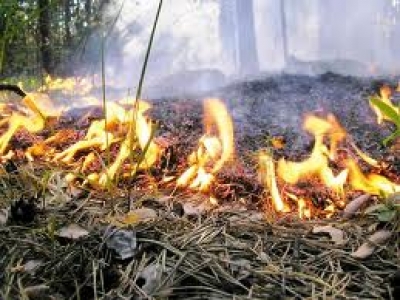 Меры борьбы с ЧС обсуждали в Луганске
