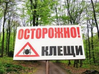 Госсанэпидслужба предупреждает о клещах