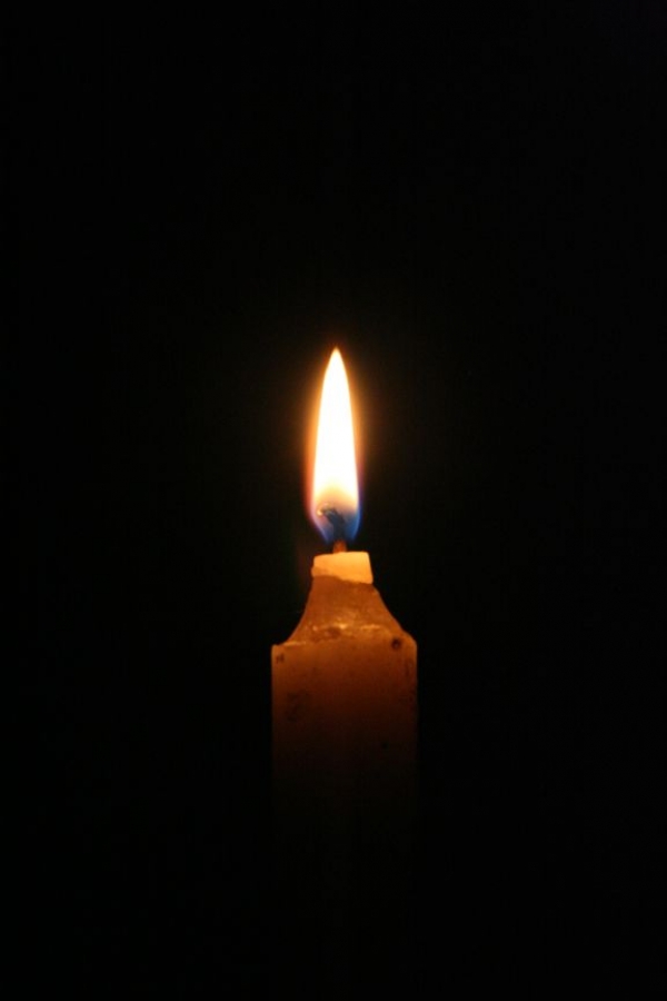 В пожарах с начала года погибло 59 человек