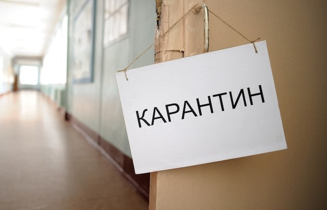 Вспышка ОРВИ и гриппа на Луганщине – закрыты 67 школ и еще 294 класса