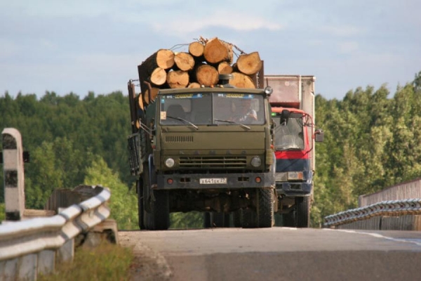 Тука запретил пропускать лесовозы в Луганскую область
