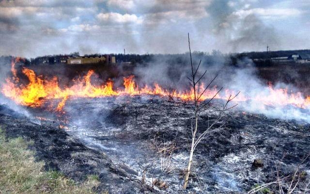 Со вчерашнего дня на Луганщине объявлен 5-ый уровень пожароопасности