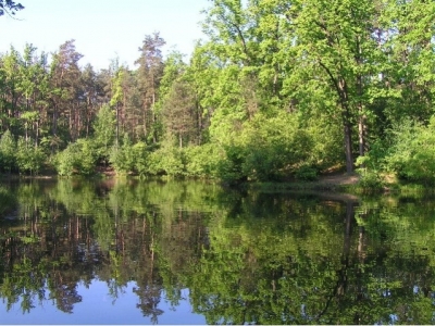 Пляжи Луганщины не безопасны
