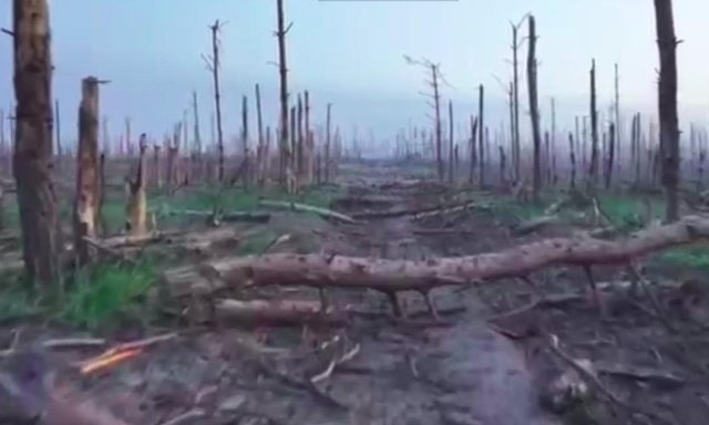 Луганщина из-за российских обстрелов стала наиболее засоренной территорией Украины