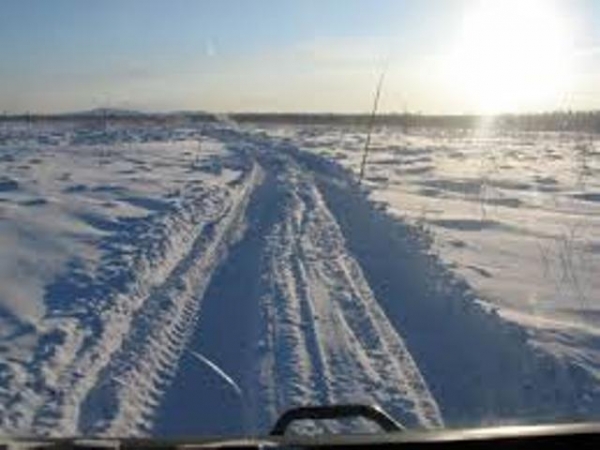 Молдавские яблоки замерзли в Луганской степи
