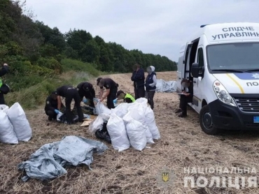 На Луганщине в лесополосе выращивали коноплю
