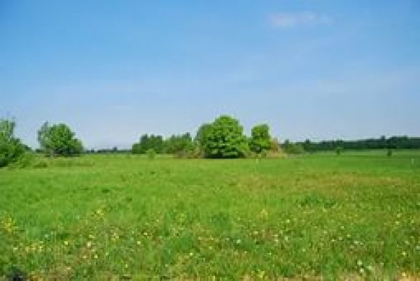 Продажа земель в "ЛНР" запрещена