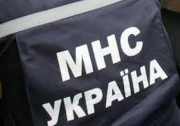 Как в Первомайске спасали собаку