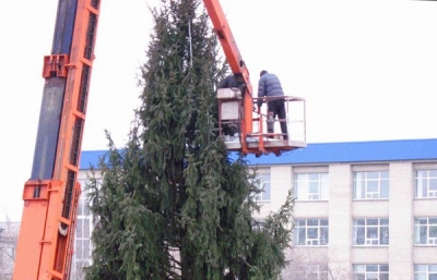 Главную елку Луганщины установили в Северодонецке