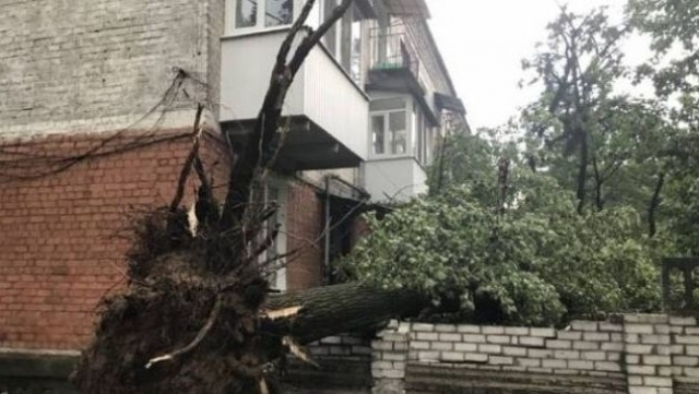 Область помогает Рубежному ликвидировать последствия урагана