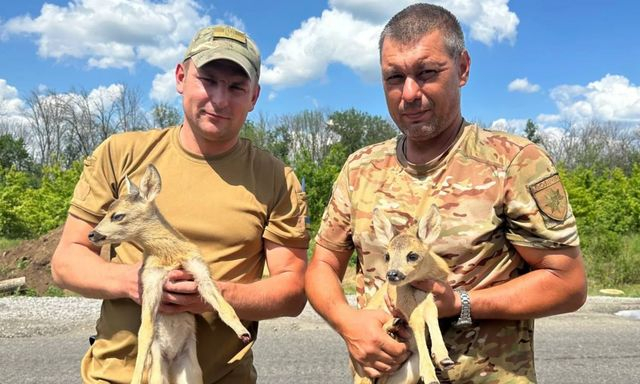 Луганские полицейские передали в Экопарк в Харькове двух детенышей косули