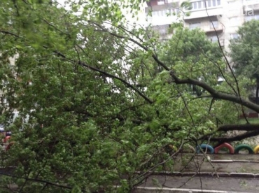 В оккупированном Луганске ликвидируют последствия бури