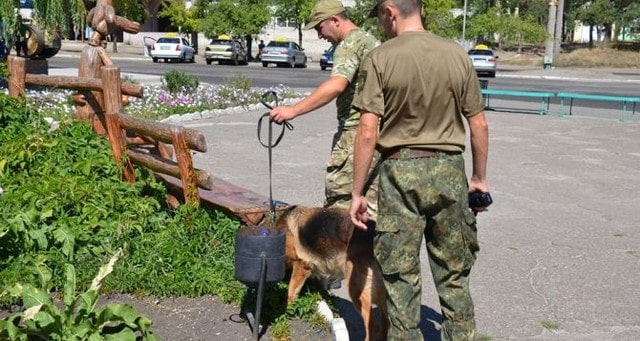 На Луганщине неизвестные «заминировали» 28 объектов – открыто уголовное производство (фото)