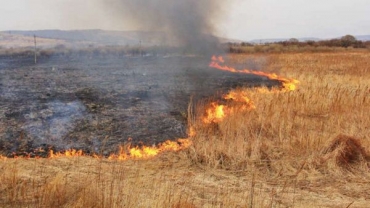 На Луганщине задержаны поджигатели стерни