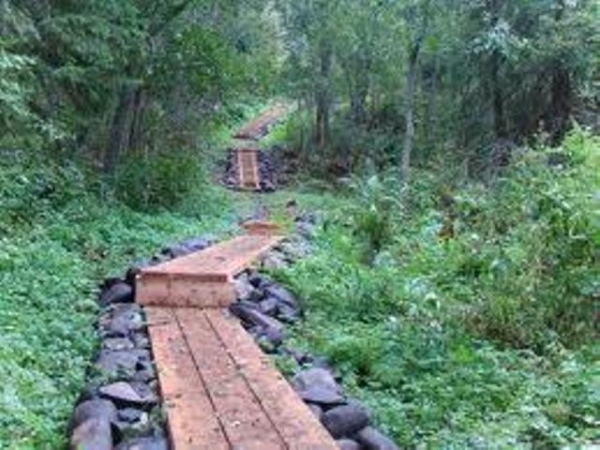 Экологическую тропу построят на Луганщине