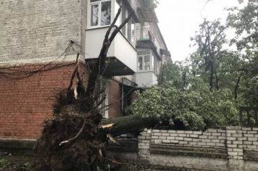 В Рубежном подсчитывают убытки, причиненные сильным ураганом (видео)