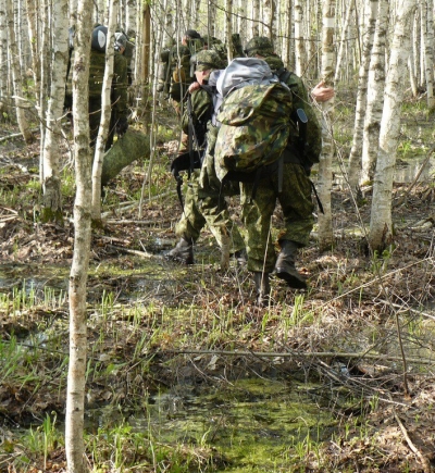 Украинские силовики обезвредили лесной лагерь НВФ