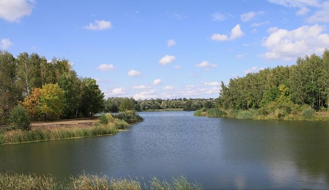 Качество воды Северского Донца проверят специалисты