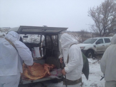 Пограничники не позволили вывезти в Россию 340 кг мяса
