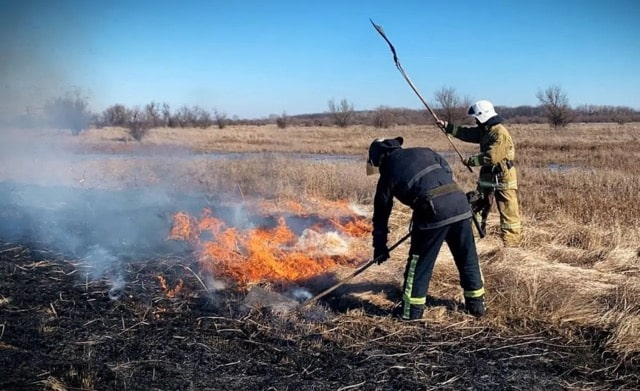 На оккупированной Луганщине за сутки сгорело 60 гектаров полей