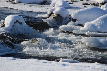 ЧП на берегу реки: мужчины подрались и упали в воду – один погиб
