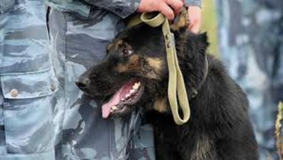 На глазах у школьников обезвредили снаряд