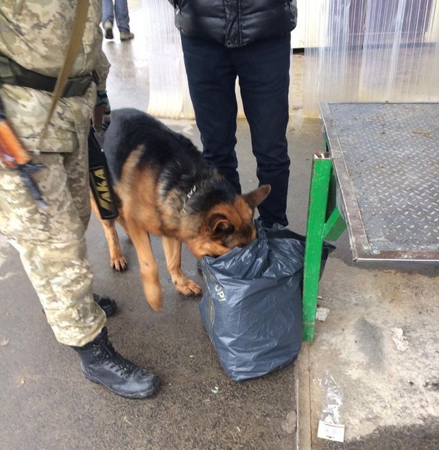 Пограничники на КПВВ задержали наркокурьера