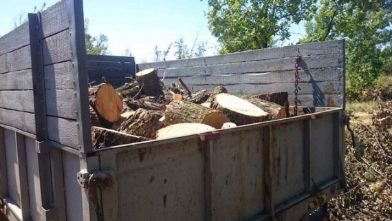 Полтора месяца в Попаснянском районе безнаказанно уничтожали лес