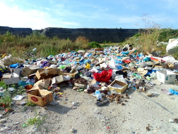 Пора бороться со стихийными свалками