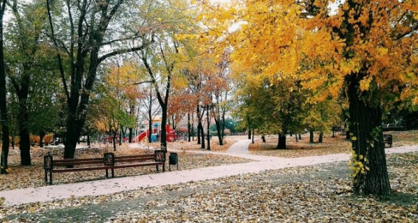 С улиц Луганска вывозят тонны мусора