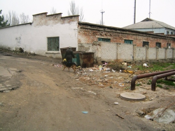 О санитарном состоянии городов и районов области