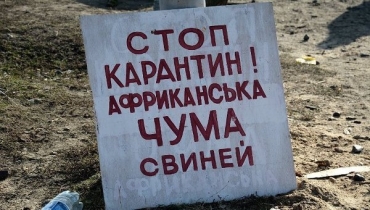 В Луганской псевдореспублике боятся занести от соседей африканскую чуму