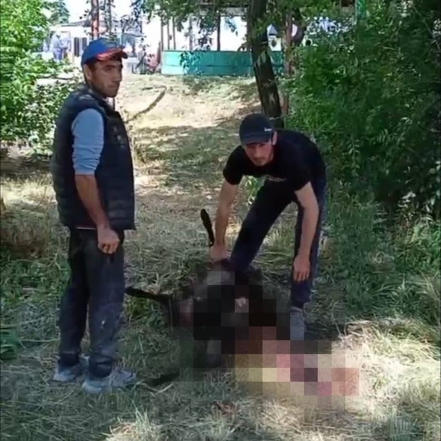 В оккупированной Кадиевке мусульмане возле автовокзала зарезали барана
