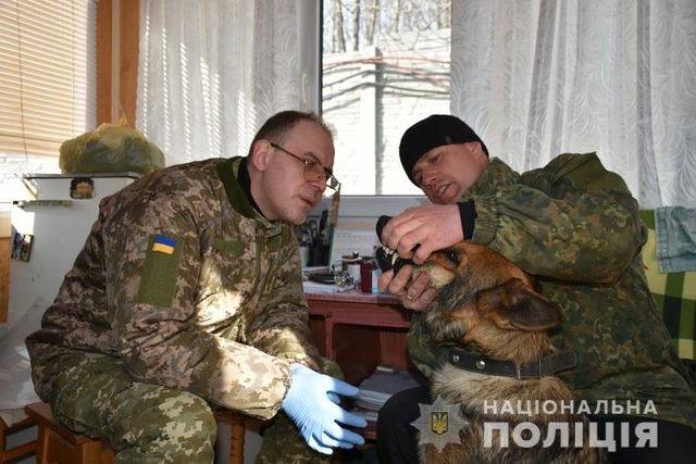 На Луганщине работает мобильный ветеринарный пункт